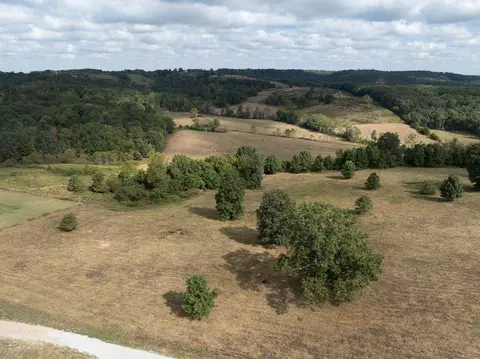 View/Area - Route 7 Box 7378l, Ava, MO 65608 photo 2 of 3