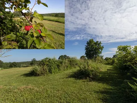 Exterior - Route 7 Box 7378l, Ava, MO 65608 photo 21 of 22