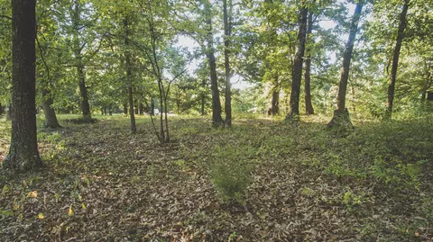 000 Lonnie Ln, Seneca, MO 64865 photo 5
