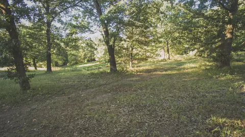 000 Lonnie Ln, Seneca, MO 64865 photo 11