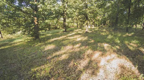 000 Lonnie Ln, Seneca, MO 64865 photo 13