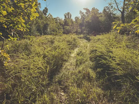 000 Lonnie Ln, Seneca, MO 64865 photo 25