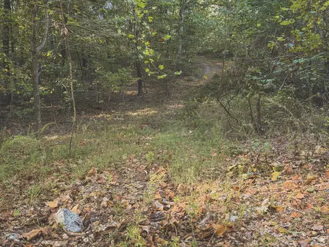 000 Lonnie Ln, Seneca, MO 64865 photo 29