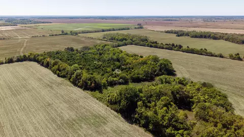 tbd Lawrence 2040, Miller, MO 65707 photo 6
