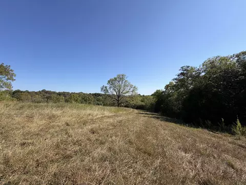 001 Greentown Rd, Buffalo, MO 65622 photo 3