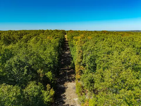 000 County Road N -321 # -2, Ava, MO 65608 photo 9