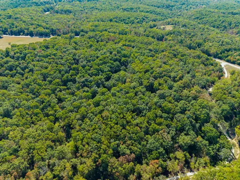 000 County Road N -321 # -2, Ava, MO 65608 photo 6