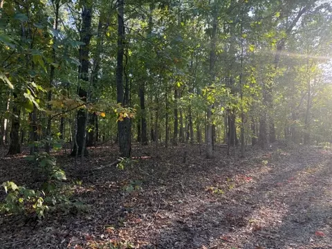 000 Skylark Rd, Washburn, MO 65772 photo 9