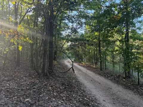 000 Skylark Rd, Washburn, MO 65772 photo 11