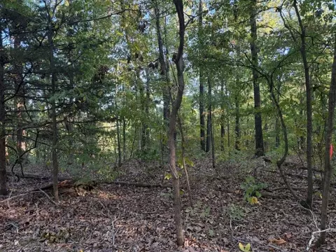 000 Skylark Rd, Washburn, MO 65772 photo 3