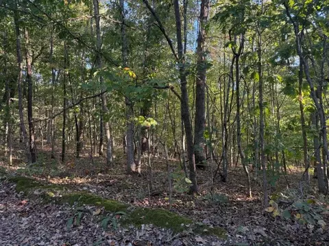 000 Skylark Rd, Washburn, MO 65772 photo 6