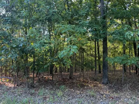 000 Skylark Rd, Washburn, MO 65772 photo 13