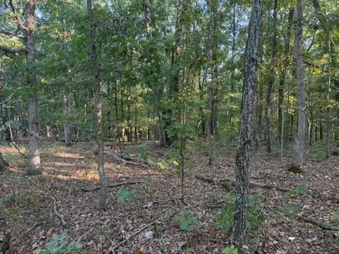 000 Skylark Rd, Washburn, MO 65772 photo 8