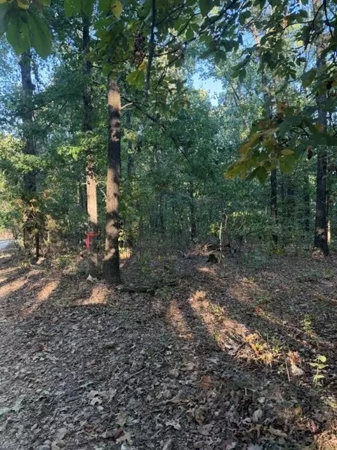 000 Skylark Rd, Washburn, MO 65772 photo 4