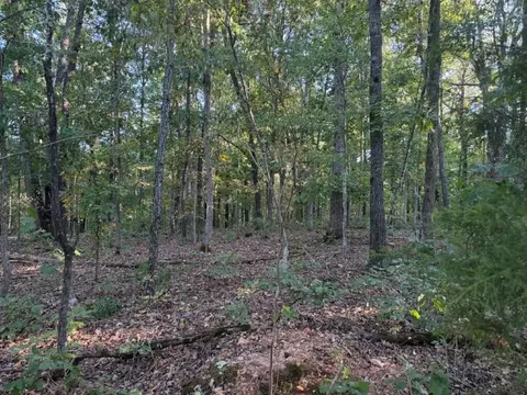 000 Skylark Rd, Washburn, MO 65772 photo 7