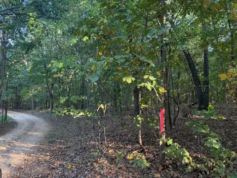 000 Skylark Rd, Washburn, MO 65772 photo 10