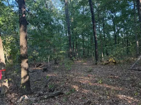 000 Skylark Rd, Washburn, MO 65772 photo 5
