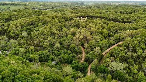 263 Shop Hollow Rd, Galena, MO 65656 photo 9