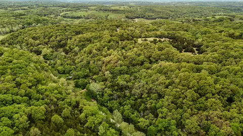 263 Shop Hollow Rd, Galena, MO 65656 photo 25
