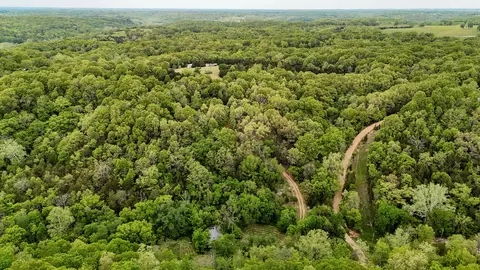 263 Shop Hollow Rd, Galena, MO 65656 photo 8