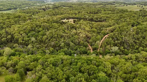 263 Shop Hollow Rd, Galena, MO 65656 photo 22