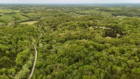 263 Shop Hollow Rd, Galena, MO 65656 photo 26