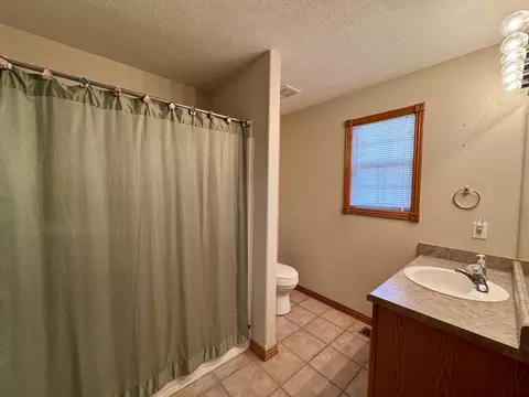 Bath - 425 S Canton Ave, Springfield, MO 65802 photo 4 of 4