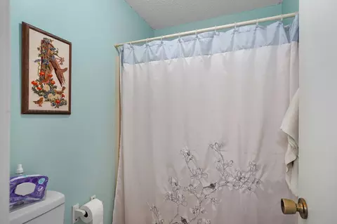 Bath - 159 Rogers Dr, Sparta, MO 65753 photo 2 of 3