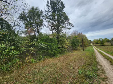 000 S Dade 181, Everton, MO 65646 photo 3