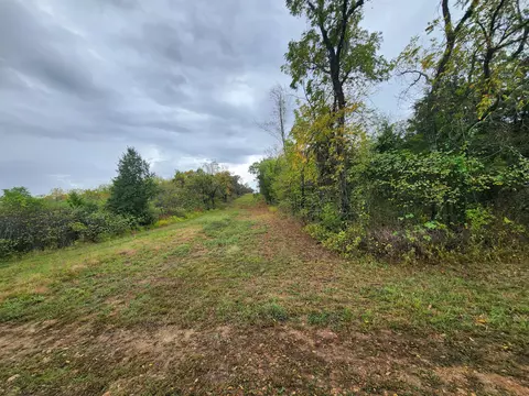 000 S Dade 181, Everton, MO 65646 photo 2