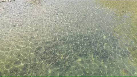 000 County Road 284, Dora, MO 65637 photo 14