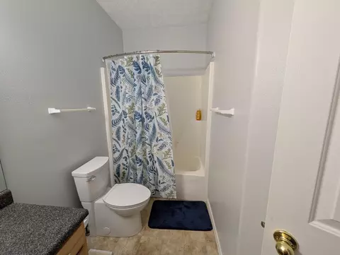 Bath - 802 E Current Dr, Ozark, MO 65721 photo 5 of 5