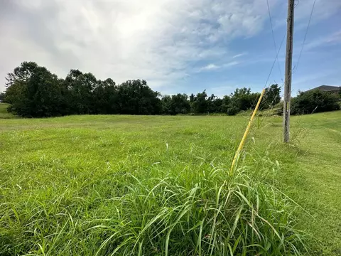 2 89 Ac Daugherty Rd, Neosho, MO 64850 photo 3
