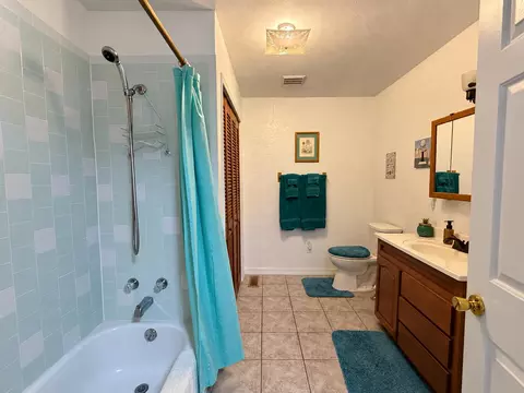 Bath - 1054 County Road 6160, Dora, MO 65637 photo 3 of 3