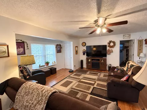 Living - 1054 County Road 6160, Dora, MO 65637 photo 2 of 2