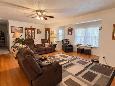 Living - 1054 County Road 6160, Dora, MO 65637 photo 1 of 2