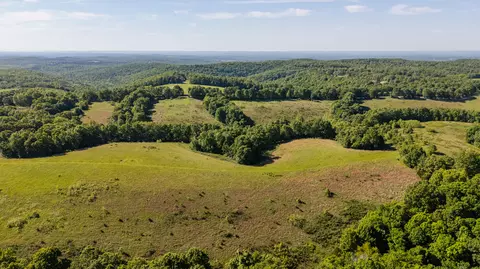 Other - 1665 N State Hwy 125, Rueter, MO 65744 photo 9 of 19