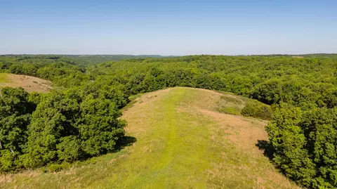 Other - 1665 N State Hwy 125, Rueter, MO 65744 photo 16 of 19