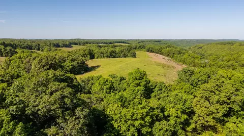 Other - 1665 N State Hwy 125, Rueter, MO 65744 photo 15 of 19