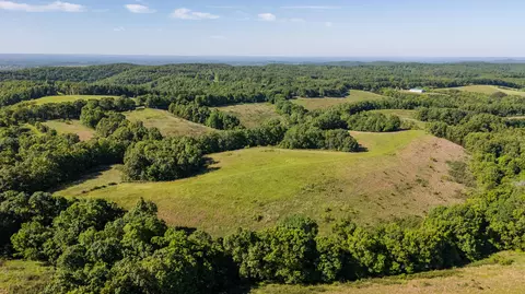 Other - 1665 N State Hwy 125, Rueter, MO 65744 photo 7 of 19