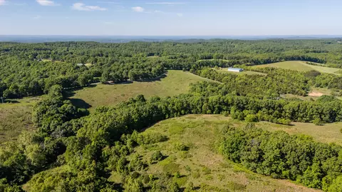 View/Area - 1665 N State Hwy 125, Rueter, MO 65744 photo 5 of 10