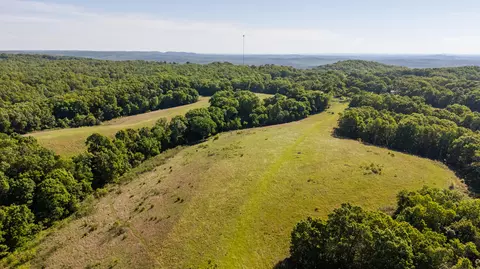 Other - 1665 N State Hwy 125, Rueter, MO 65744 photo 11 of 19