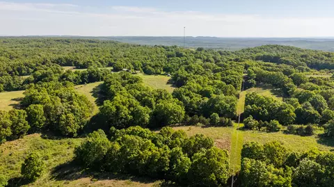 Other - 1665 N State Hwy 125, Rueter, MO 65744 photo 12 of 19