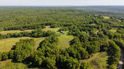 View/Area - 1665 N State Hwy 125, Rueter, MO 65744 photo 7 of 10