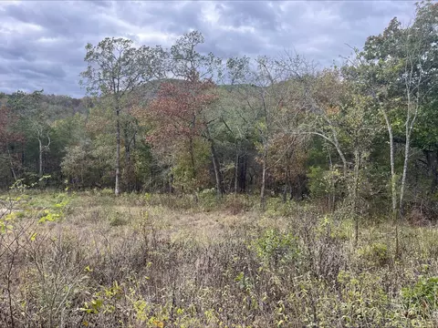 lot15 Oak Ln, Shell Knob, MO 65747 photo 4