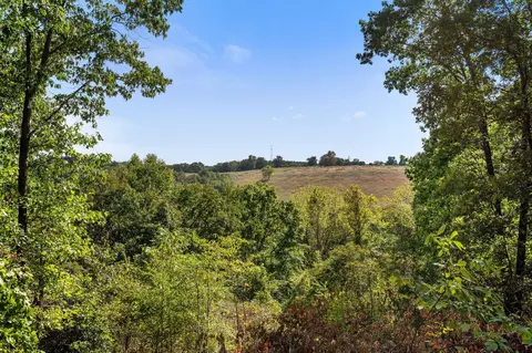 View/Area - 20 Clearview Dr, Blue Eye, MO 65611 photo 3 of 8