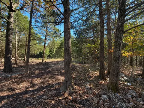 Exterior - 5195 S 208th Rd, Halfway, MO 65663 photo 7 of 7
