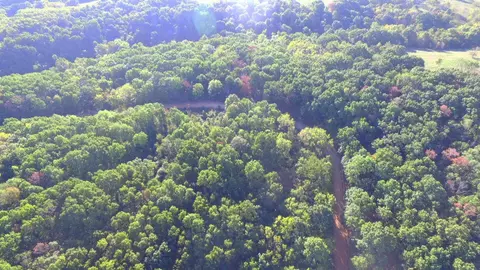 000 Elkhorn Rd, Stella, MO 64867 photo 2