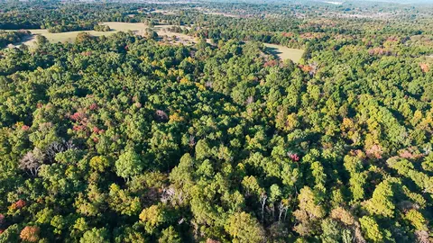 000 Elkhorn Rd, Stella, MO 64867 photo 5