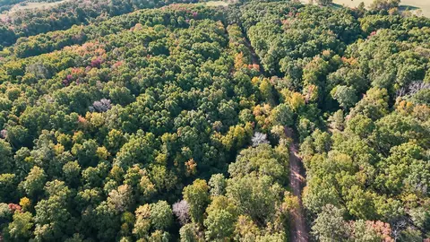 000 Elkhorn Rd, Stella, MO 64867 photo 3